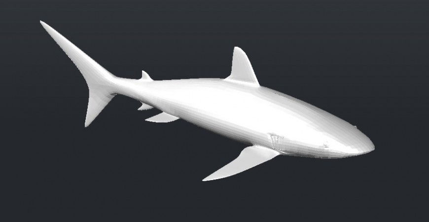 Unique shark fish 3d elevation block cad drawing details dwg file