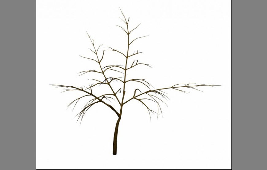 Unique tree 3d elevation block cad drawing details max file