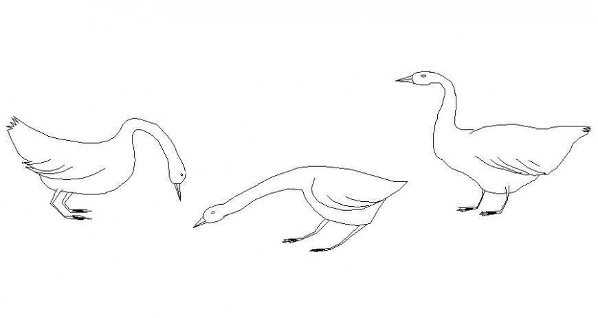 Various birds blocks drawings 2d view elevation autocad software file