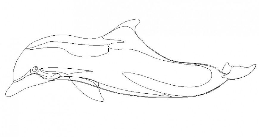 Whale fish side elevation block cad drawing details dwg file