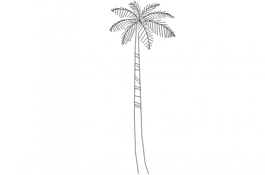 Wild palm tree elevation block cad drawing details dwg file
