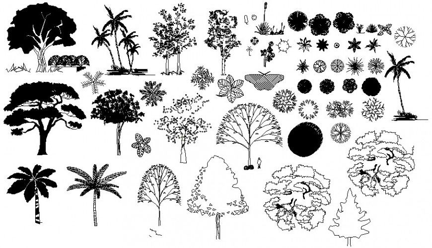 Wild plants and tree elevation blocks drawing details dwg file