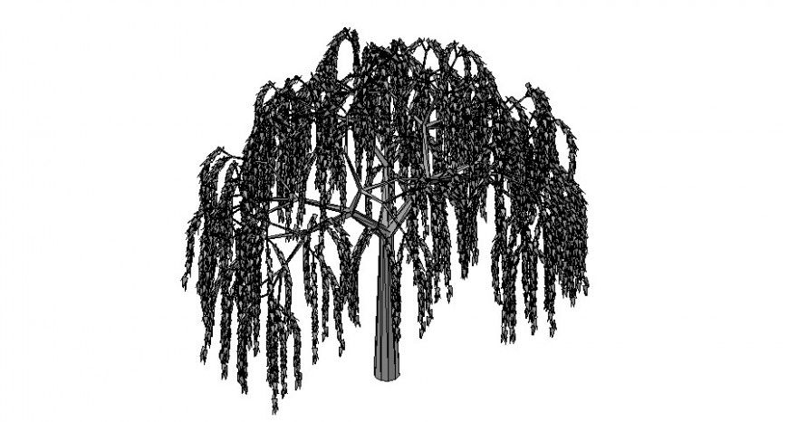Willow tree 3d view in auto cad file