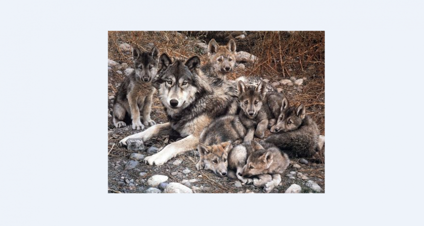 Wolf detail elevation 3d view autocad file