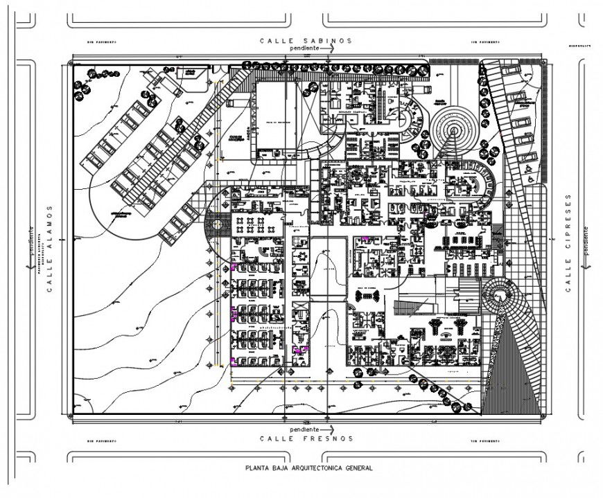 Working clinic planning detail dwg file