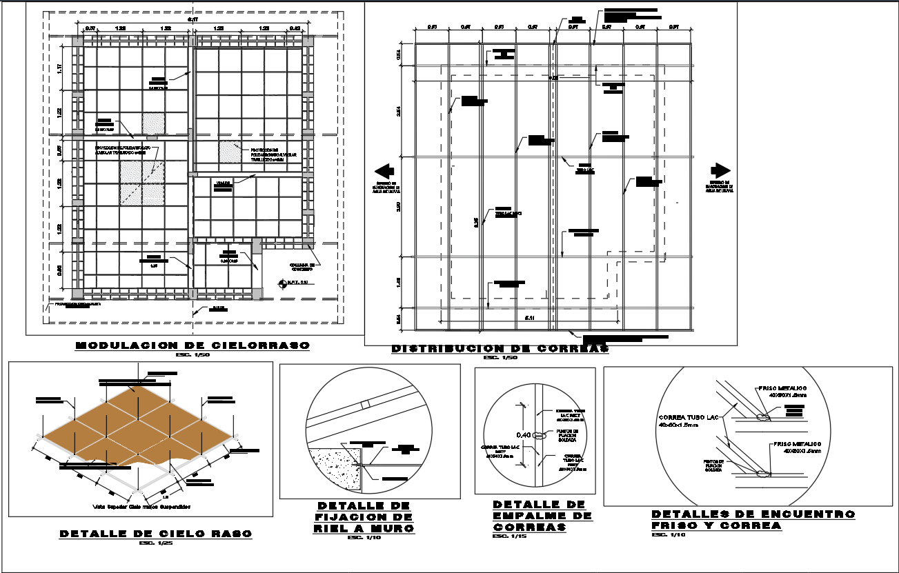 Ceiling and Purlin Layout with CAD Construction Details