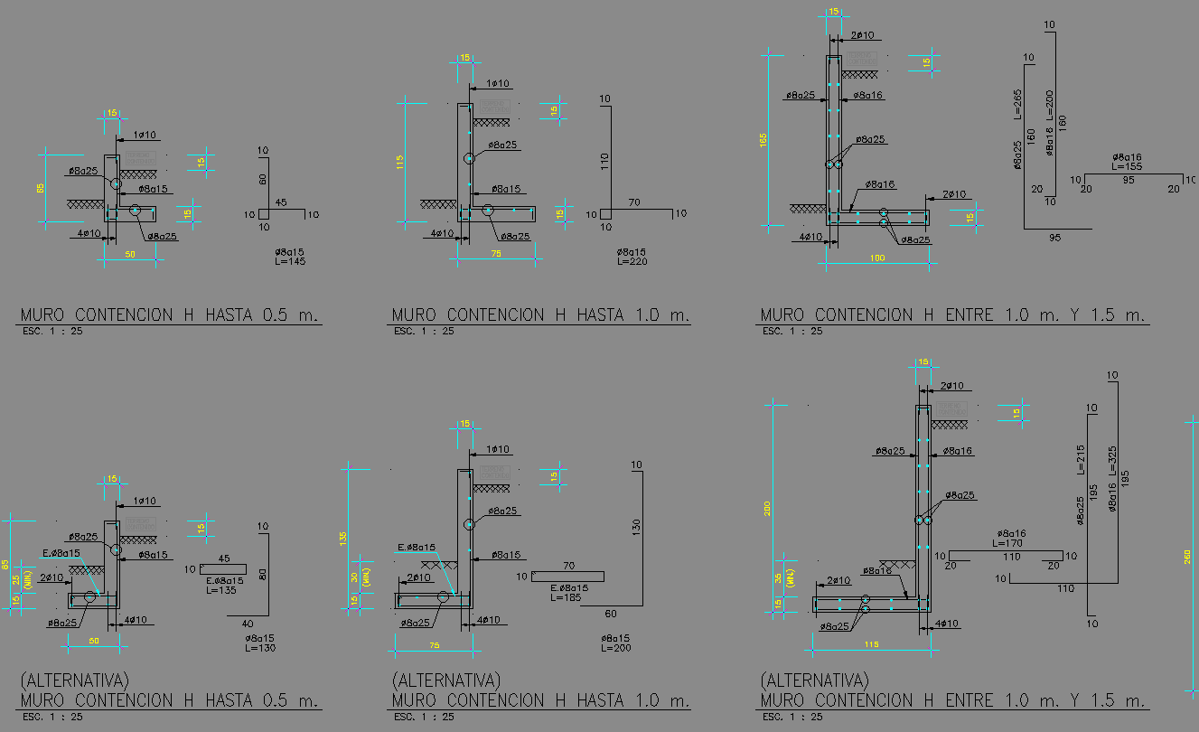 Retaining Wall Autocad Section with Reinforcement and Footing Details